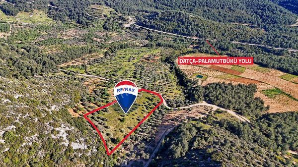 Datça Sındı'da Satılık Bağ Bahçe Evi İmarına Başvuruya Uygun Arazi