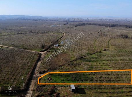 Sakarya Karapürçek Cumhuriyet Mahallesi'nde Yatırımlık Fındıklık