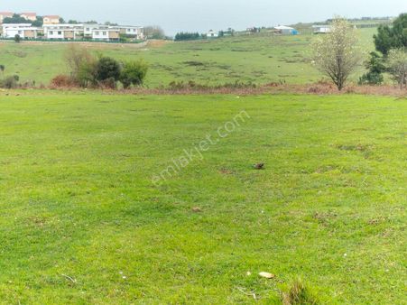 Şile Karacaköy De Harika Konumda 663m2 Villa İmarlı Satılık Arsa