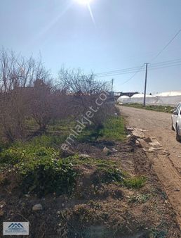 Aksu_kurşunlu; Yola Cepheli Tek Tapu Satılık 3170 M2 Tarla