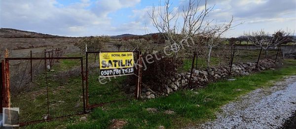 Işık Ofis' Ten Ortaköy İlyasçılar Köyü Ana Yol Üzeri Tarla