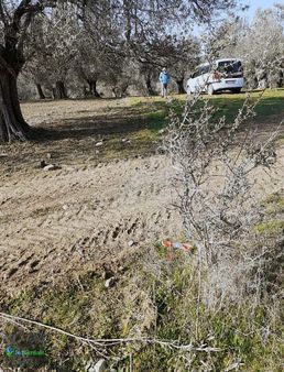 Jet'ten Kalabakta Resmi Yolu Olan Satılık Hobi Bahçesi 260 M2