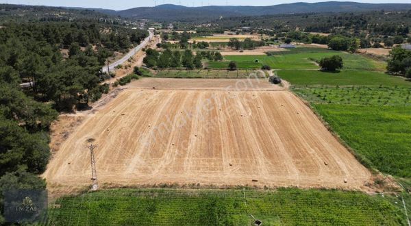 Çanakkale Merkez Köyü Dümrek Satılık Tarla