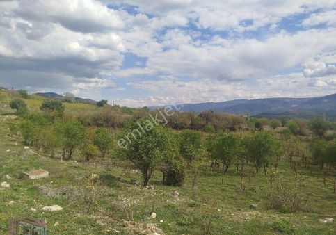 Asfalt Yola Cepheli Yatırımlık Arazimiz