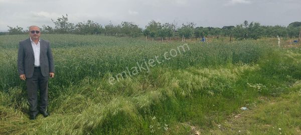 Meriç Karayusuflu Da Asfalta Ve Meraya Cephe Tarla