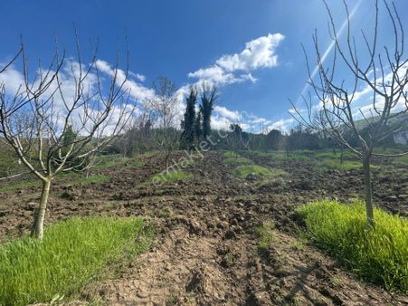 Kocaeli Karamürsel Avcıköy Satılık 1158 M2 Bahçe