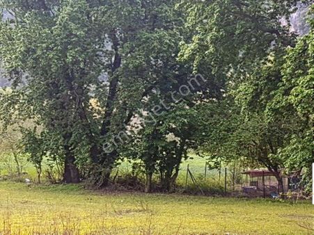 Muğla Ortaca Okçularda Dalyan Anayoluna Sıfır Yatırıma Uygun 3 577 M2 Arazi Satılık