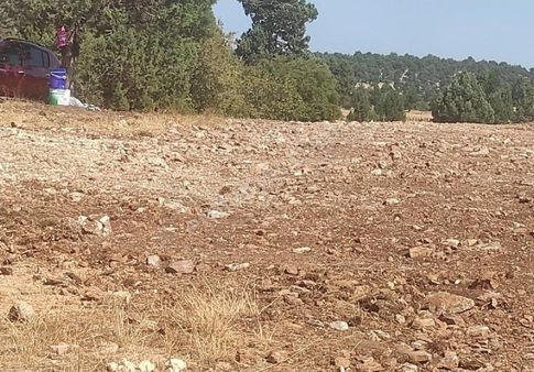 Mersin Silifke Çaltı Bozkır 1031 M2 Yolu Suyu Var Yayla Evi Yapmaya Uygun