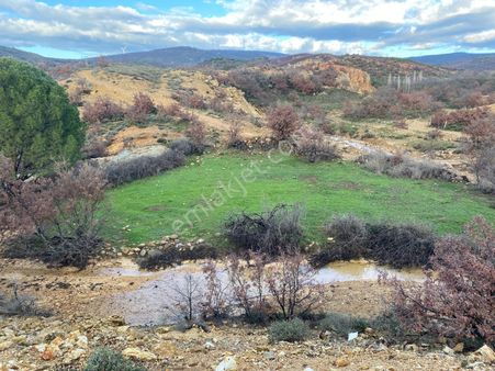 Bergama Seklik Köyünde Satılık Bahçe