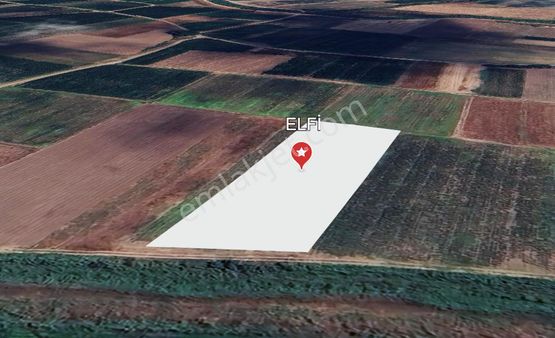 Elfi Den Kocaavşar Mahhallesinde Satılık 3741 M2 Tarla
