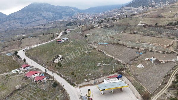 Onur Gayrimenkul'den Satılık Şeftali Bahçesi