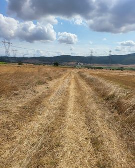 Çanakkale Biga Bekirli Köyün'de Fırsat Satılık Tarla