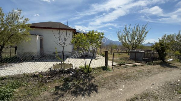 Senirkent Ulubey De Kaçmaz Meyve Ağaçlı Bahçe Evi