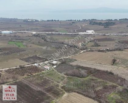 Molla Team,den Çanakkale Yapıldak Köyü Yatırımlık Satılık Tarla