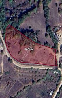 Yenisehir Kirazliyayla Mahallesinde Tarlamız Satılıktır İznik Gölü Manzaralı.