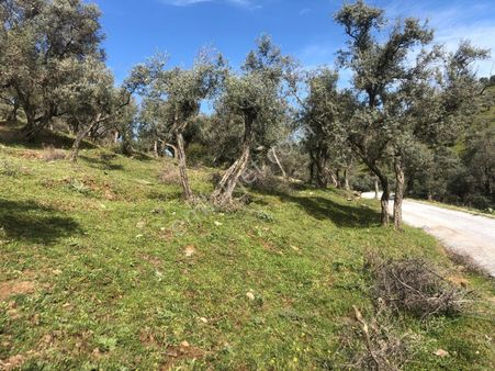 Doğa Gayrimenkul'den İzmir'de Kaçırılmayacak Yatırım Fırsatı