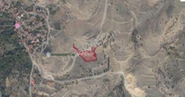 Remax Hür Ülkü Çakar'dan Bilecik Söğüt Tuzaklı Köyünde Satılık Tarla