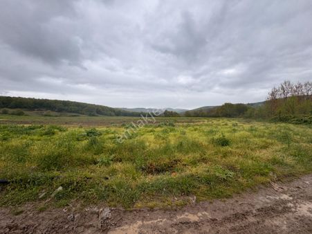 Kocaeli İli İzmit İlçesi Biberoğlu Köyünde 18.325 M2 Satılık Tarla