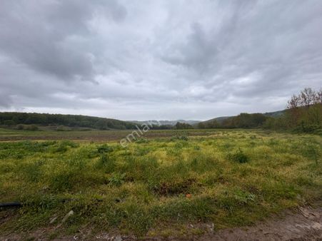 Kocaeli İli İzmit İlçesi Biberoğlu Köyünde 20.666 M2 Satılık Tarla