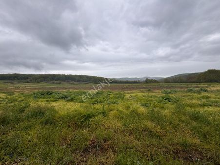 Kocaeli İli İzmit İlçesi Biberoğlu Köyünde 9.014 M2 Satılık Tarla