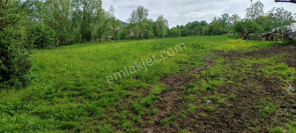Samsun Canik Derelerde Bağ Evi Yapmaya Uykun Yolu Suyu Elektırıhı Olan Merkezdeki Tarla Satıkıkdır