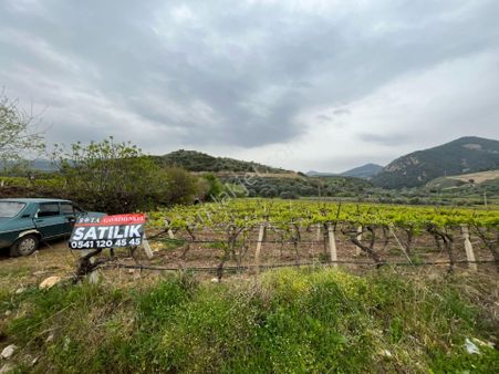 🏠rota Gayrimenkul'den Hacıbey Mahallesin'de Harika Konumda Satılık Üzüm Bağı🏠