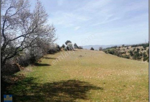 Beyağaç Pınarönü 14.000 M2 Tarla