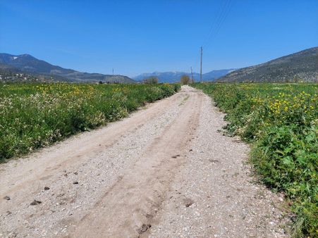 Muğla Milas Ovakışlacık Satılık Çiftlik Arazisi Gökhan Alkaya'dan