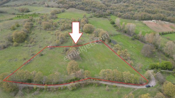 Kocaeli Karamürsel Fulacık %5 İmarlı 8.128 M2 Satılık Tarla