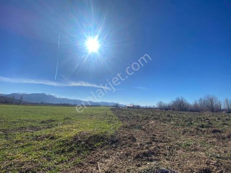 Isparta Atabey Harmanören' De Satılık Çift Taraf Kadastro Yolu Olan Tarla