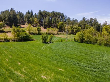 Denizli Çameli'nde ! Fethiye'ye 1 Saat Uzaklıkta İmarlı 1.500 M²