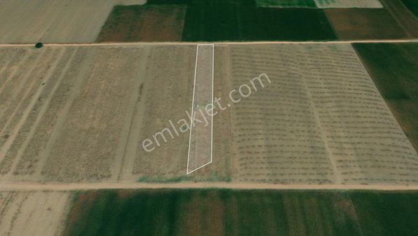 Bursa Karacabey Runguşpaşa Da Ev/araç/dükkan Takaslı Yatırımlık Tarla