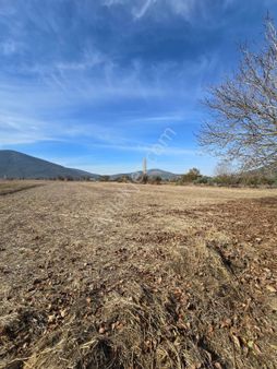 Muğla Menteşe Yeşilyurt Mahallesinden Satılık Tarla