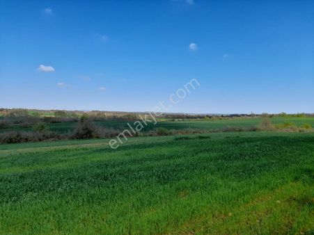 Kırklareli Bayramdere Köyü İmarlı Satılık Arsa