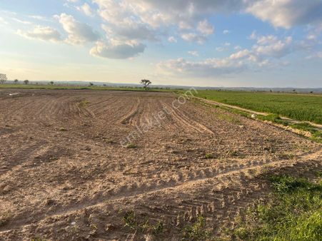 Kırklareli Karıncak 932 M2 Bağ Yeri