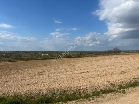 Kırklareli Deveçatağı 14.000 M2 İmar Sınırında Satılık Tarla