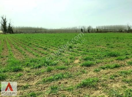 Akyazı Bedil Tahirbey Mahallesinde Köy İçi Satılık Arsa