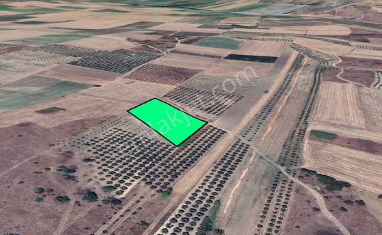 Cb Focus'tan Karacabey/sultaniye 'de Yatırıma Uygun Satılık Müstakil Arazi