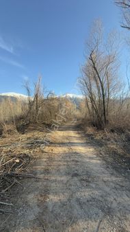 Senirkent Yassıören De Çok Uyguna İki Parsel❗️