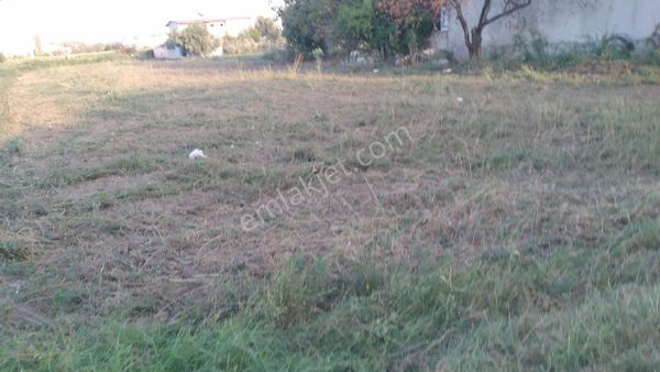 Satılık Arsa Yılmaz