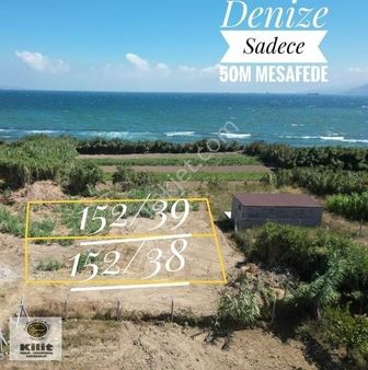 Bandırma-çalışkanlarda Denize Sadece 50m Uzakta Satılık Arsalar