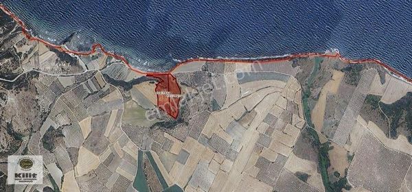 Liman Projesine Bitişik Denize 150m Cephesi Olan Arazi