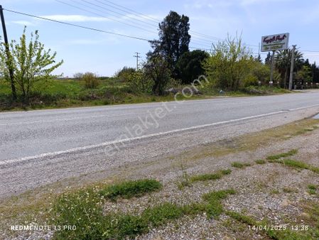 Foça-izmir Yoluna Cepheli Satılık Tarla (2900m2)