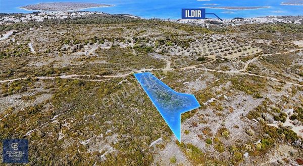 Çeşme Germiyan'da 6654 M2 Satılık Arsa
