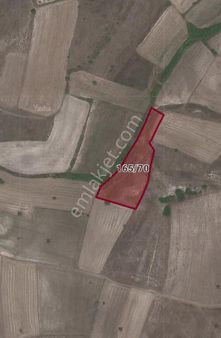 Balıkesir Kepsut Nusret Mahallesinde Yatırımlık Tarla