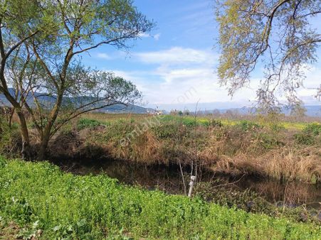 Yeni Gürle De 2371m2 Dere Kenarı Meyve Bahçesi