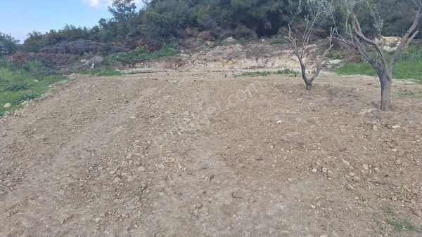 Foça Ilıpınar Satılık Arsa