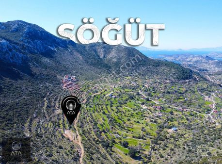 Ata'dan Söğüt Bahçelide Kadastral Yola Cepheli 591,68 M2 Tarla