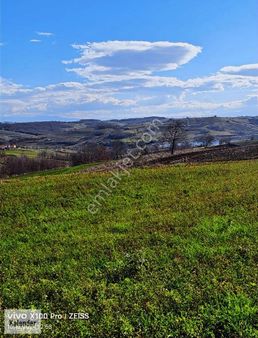 Körfez Osmanlı Köyünde 1.150 M2 Yolu Açılmış Müstakil Arazi