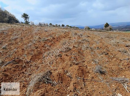 Körfez Naip Köy De Yatırımlık 1.500 M2 Müstakil Arazi